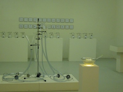 P1010705werk.jpg