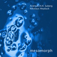 Mesomorph06.01.jpg