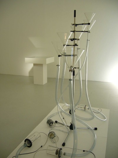 Trichterbauminfusion1.jpg